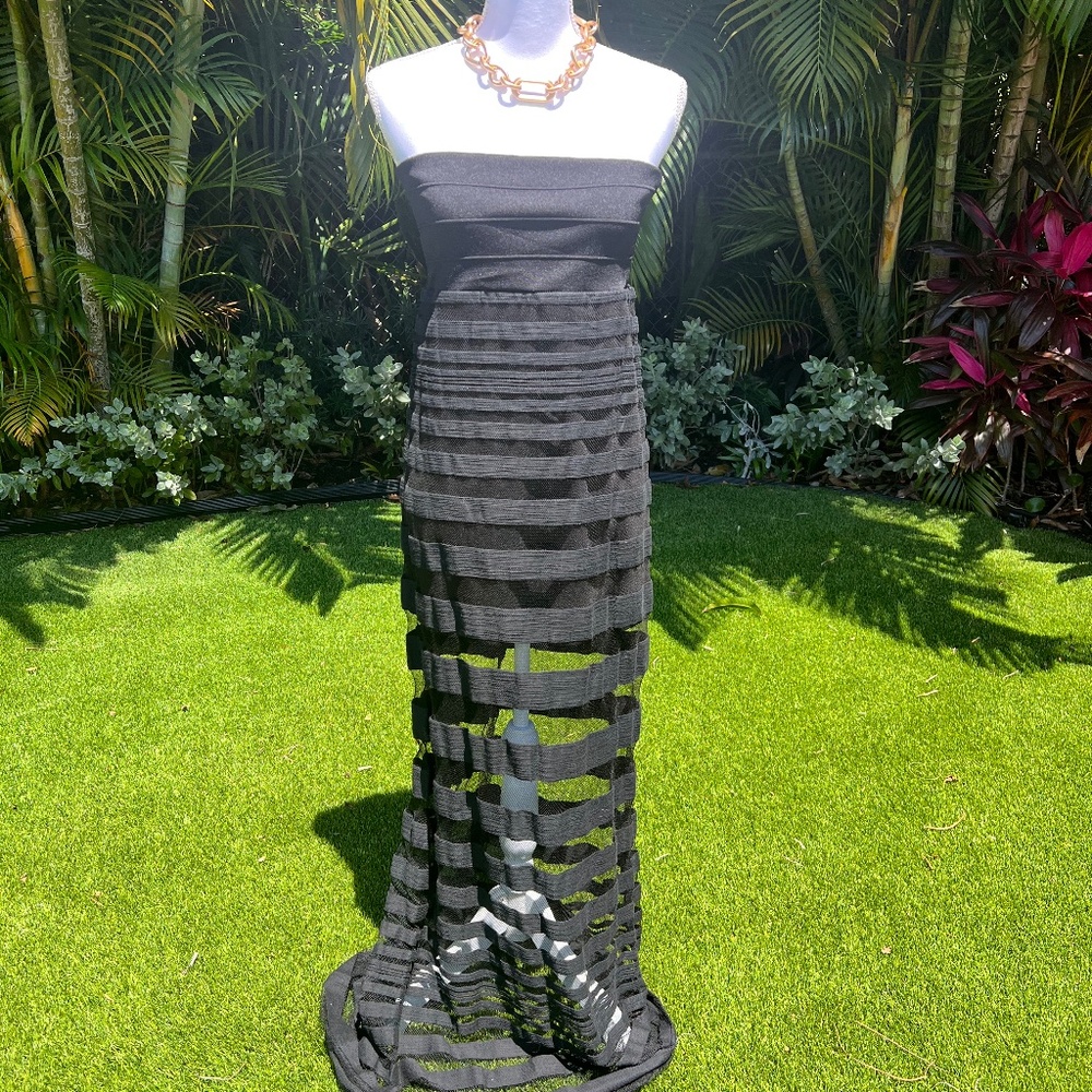 Alexis Strapless Dress with sheer inserts